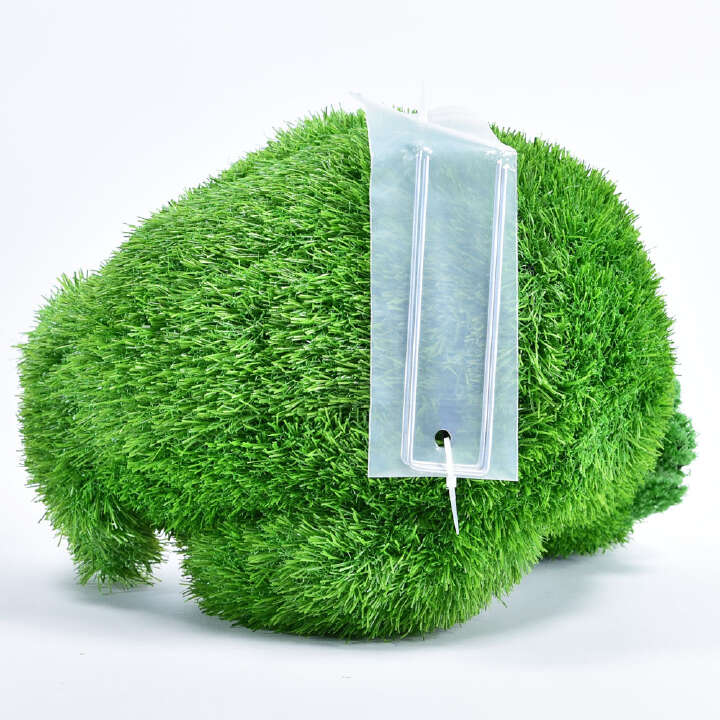 ANIPLANTS Grasfigur Huhn